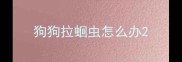 狗狗拉蛔虫怎么办