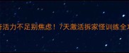 哈士奇活力不足别焦虑7天激活拆家怪训练全攻略