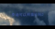 泰迪可以用猫砂吗