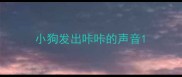 小狗发出咔咔的声音