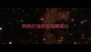 狗狗打疫苗后咳嗽呕吐