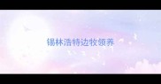 锡林浩特边牧领养