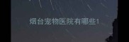 烟台宠物医院有哪些