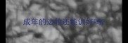 成年的边牧还能训好吗
