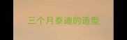 三个月泰迪的造型