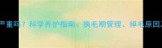 哈士奇掉毛严重吗科学养护指南换毛期管理掉毛原因及应对策略