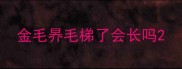 金毛昦毛梯了会长吗