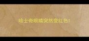 哈士奇眼睛突然变红色