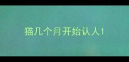 猫几个月开始认人