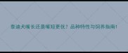 泰迪犬嘴长还是嘴短更优品种特性与饲养指南