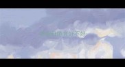 泰迪母绝育好不好