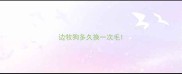 边牧狗多久换一次毛