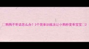 狗狗不听话怎么办3个简单训练法让小狗秒变乖宝宝