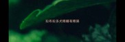 拉布拉多犬眼睛有眼屎