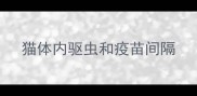 猫体内驱虫和疫苗间隔