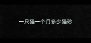 一只猫一个月多少猫砂