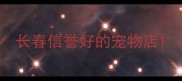 长春信誉好的宠物店