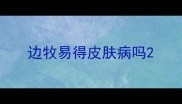 边牧易得皮肤病吗