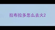拉布拉多怎么去火