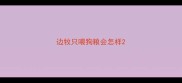 边牧只喂狗粮会怎样