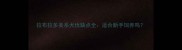 拉布拉多美系犬优缺点全适合新手饲养吗