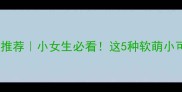 适合女生养的宠物推荐小女生必看这5种软萌小可爱治愈力满分
