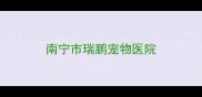 南宁市瑞鹏宠物医院