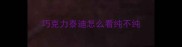 巧克力泰迪怎么看纯不纯