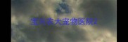 宝兴农大宠物医院