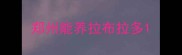 郑州能养拉布拉多