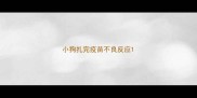 小狗扎完疫苗不良反应