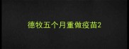 德牧五个月重做疫苗
