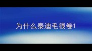 为什么泰迪毛很卷