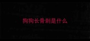 狗狗长骨刺是什么