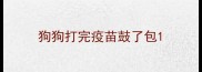 狗狗打完疫苗鼓了包