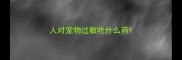 人对宠物过敏吃什么药