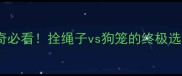 养哈士奇必看拴绳子vs狗笼的终极选择指南