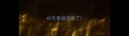 45天泰迪洗澡了