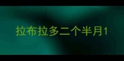 拉布拉多二个半月