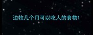边牧几个月可以吃人的食物