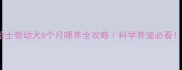 哈士奇幼犬6个月喂养全攻略科学养宠必看