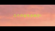几个月金毛会换牙