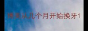 博美从几个月开始换牙