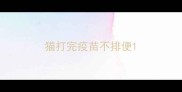 猫打完疫苗不排便