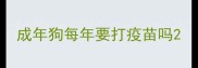 成年狗每年要打疫苗吗