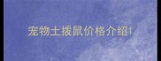 宠物土拨鼠价格介绍