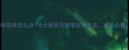 猫咪尿床怎么办5大原因及科学应对方法家长必看