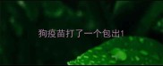 狗疫苗打了一个包出