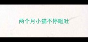 两个月小猫不停呕吐
