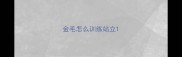 金毛怎么训练站立